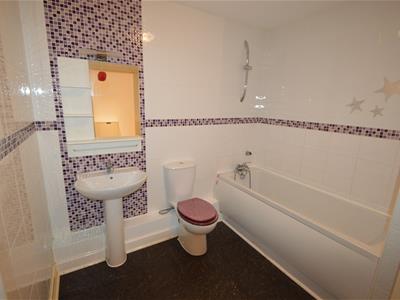 Picture 7